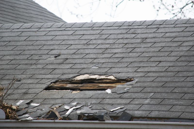 Asphalt Roof Leak Repair in Genesee County, MI