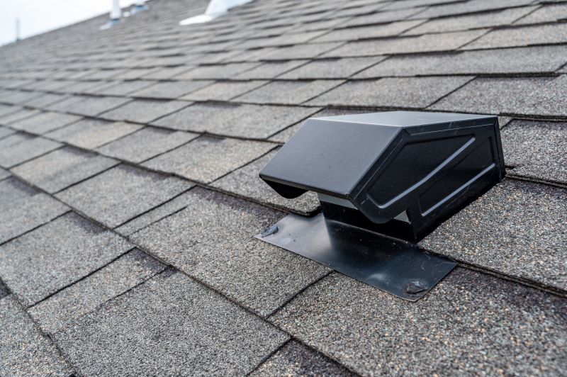 Asphalt Roof Leak Repair in Redford, MI
