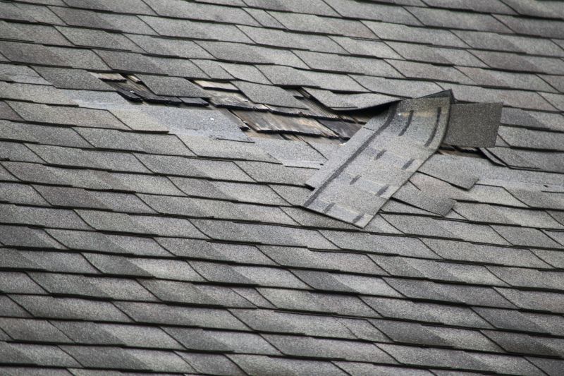 Asphalt Roof Leak Repair in Rochester, MI