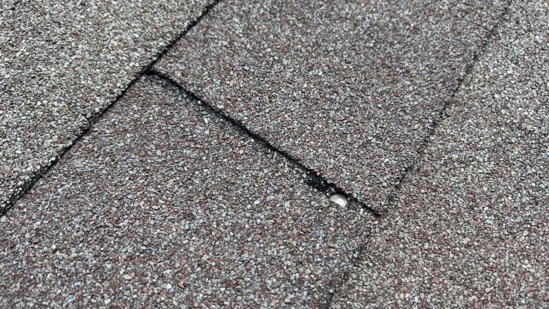 Asphalt Roof Repair in Livingston County, MI