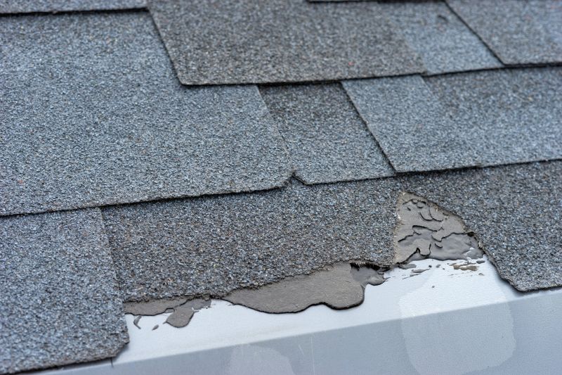 Damaged Roof Repair in Dearborn Heights, MI