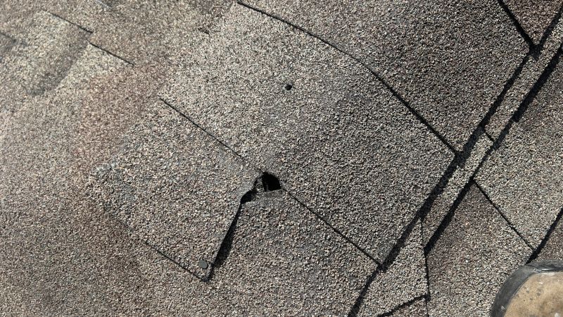 Damaged Roof Repair in Holly, MI