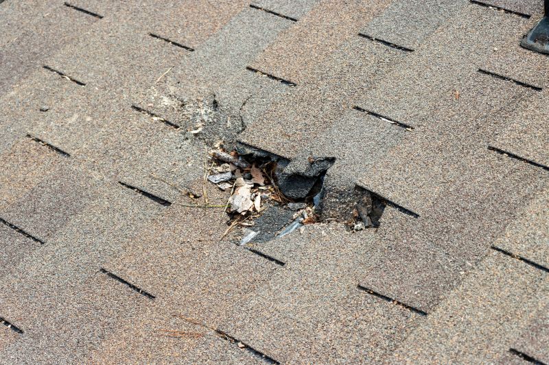 Shingle Roof Replacement in Ferndale, MI