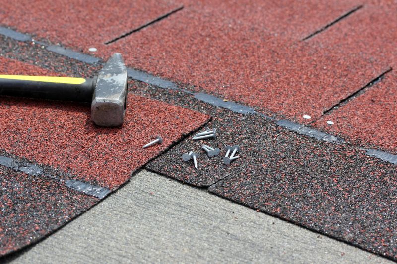 Shingles Repair in Linden, MI