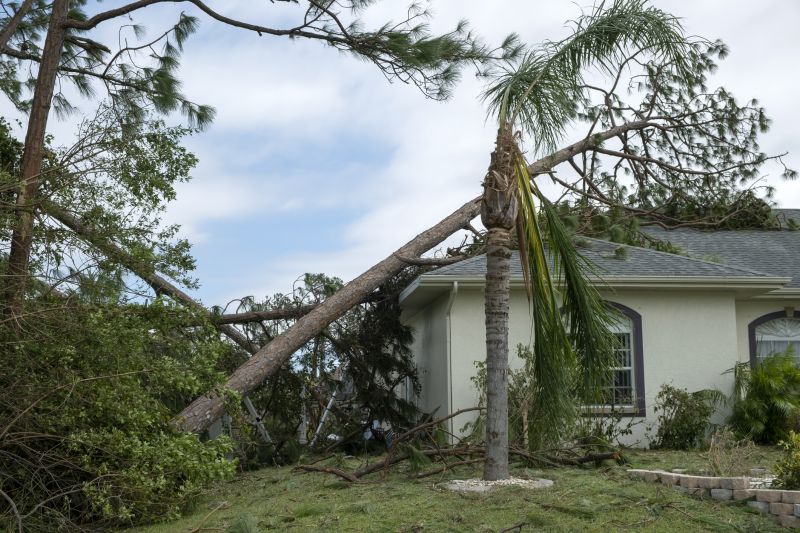 Storm Damage Roof Repair in Huntington Woods, MI