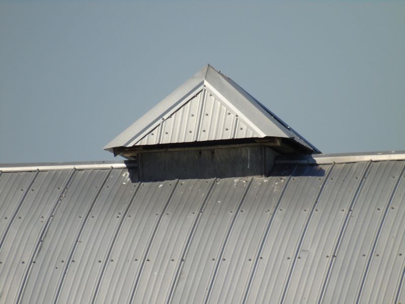 Tin Roof Installation in Troy, MI